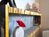 inhabitat National Geographic Shelf